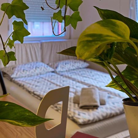 Apartmani Becicherecul Mare Exterior foto